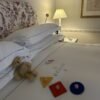 The Merrion Hotel, Dublin babysitting services