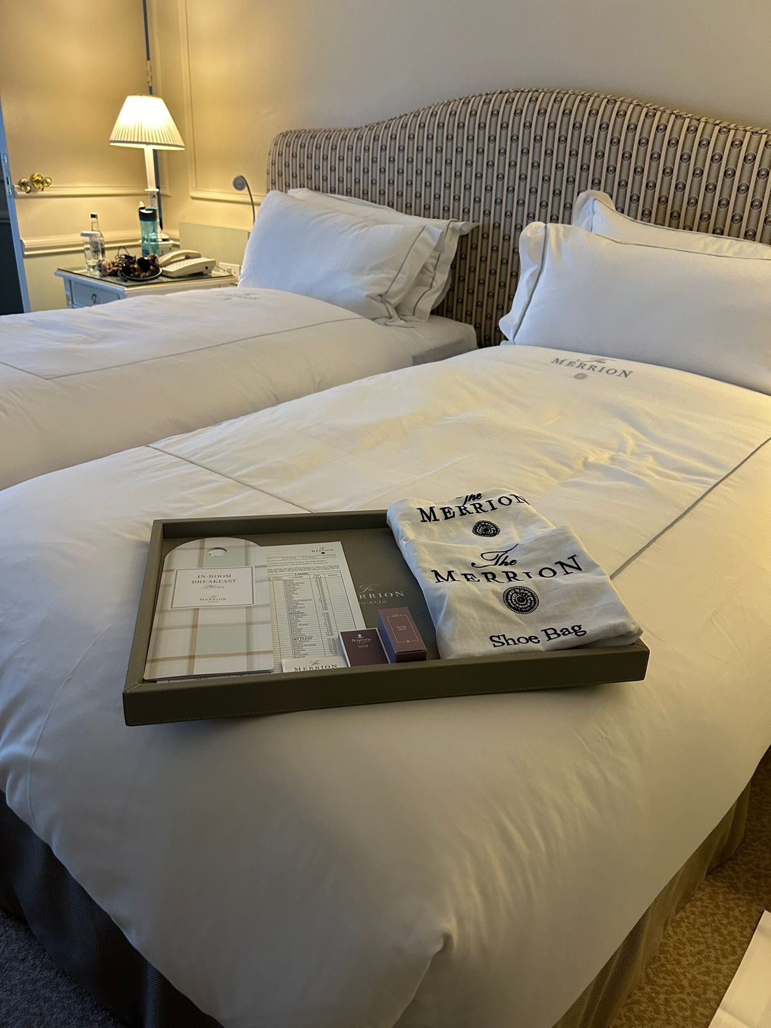 Hotel Babysitting in Dublin | Trusted Childcare for Families Visiting Ireland